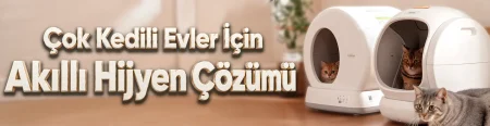 Çok Kedili Evlerde Akıllı Kedi Tuvaleti Kullanmanın 7 Avantajı