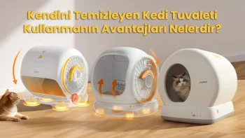 kendini temizleyen kedi tuvaleti