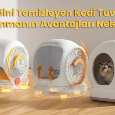 Boyun Ağrısı Neden Olur? Boyun Masaj Aleti Gerçekten İşe Yarıyor mu?