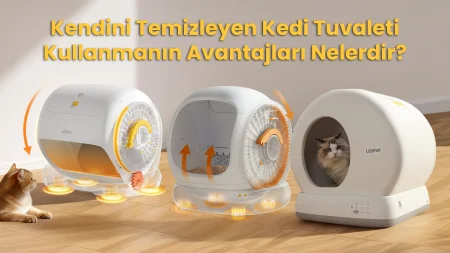 Kendini Temizleyen Kedi Tuvaleti Kullanmanın Avantajları Nelerdir?
